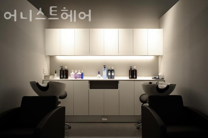 어니스트헤어 이미지