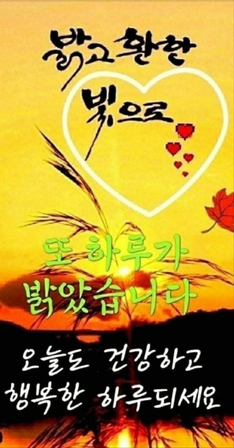 수지상사 이미지