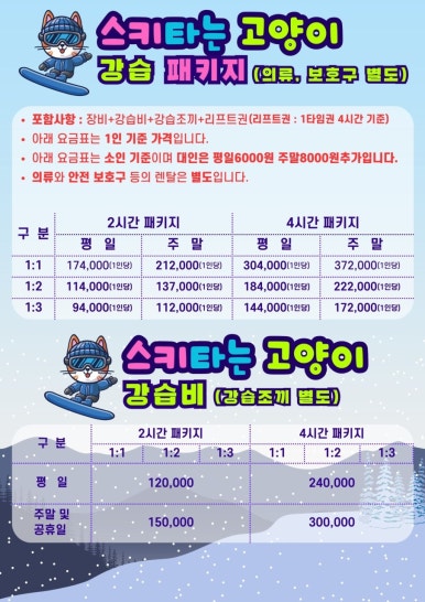 스키타는고양이 이미지