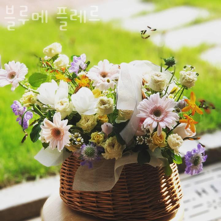 블루메플레르 이미지