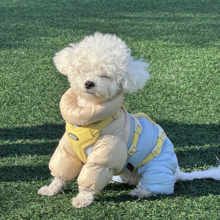 군자유치원 이미지
