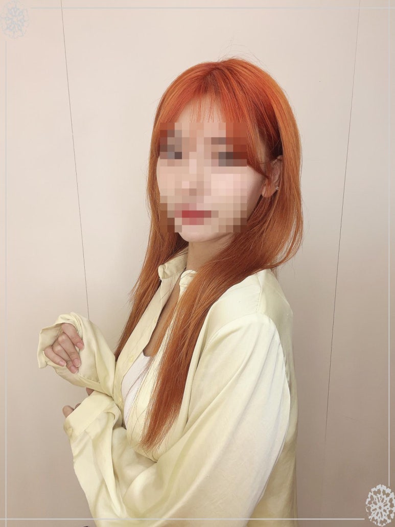 프랑크프로보 이미지