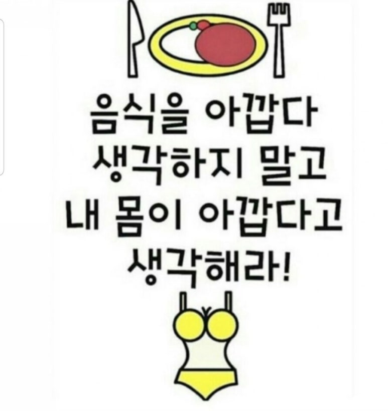 에스엔안 이미지