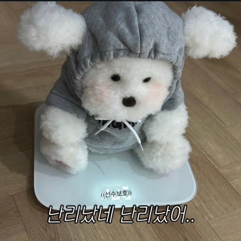 손맛집 이미지