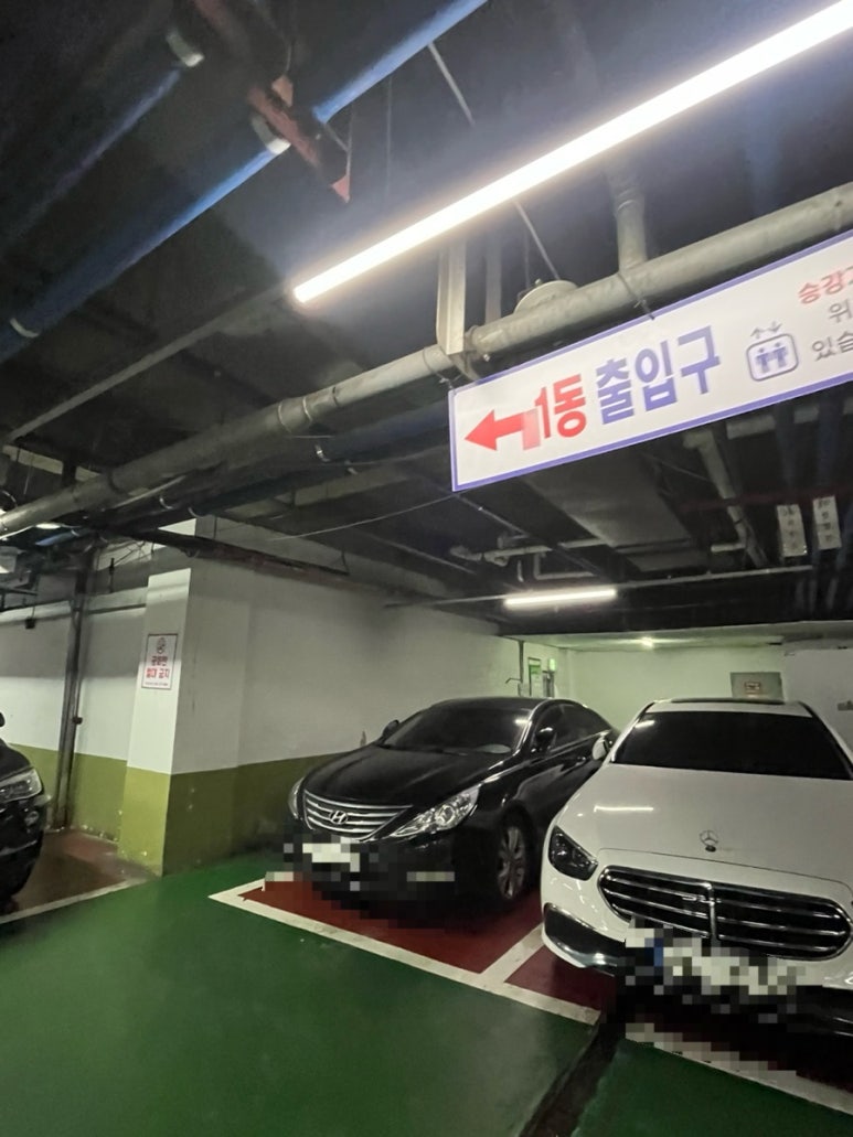 네일;피오리 이미지
