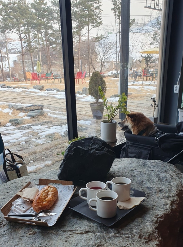 아미원 이미지