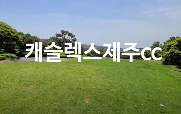 (주)캐슬렉스제주 이미지
