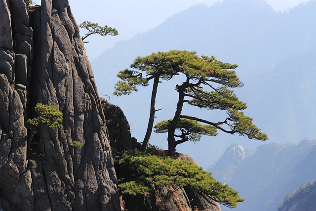 황산신발 이미지