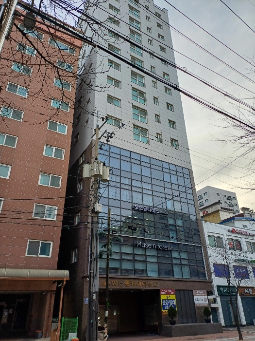 에스엠케이 이미지