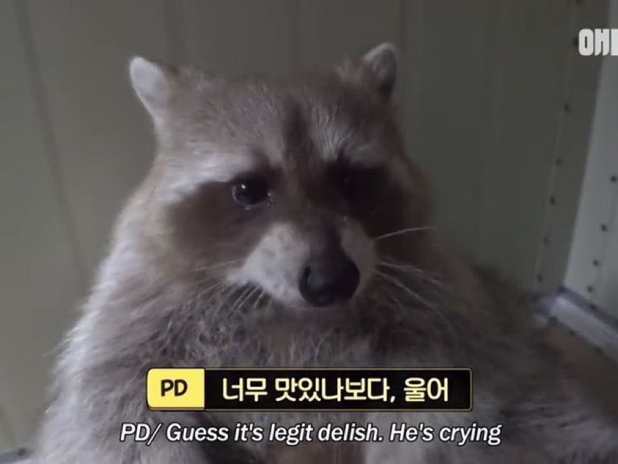 심할머니안흥찐빵만두 이미지