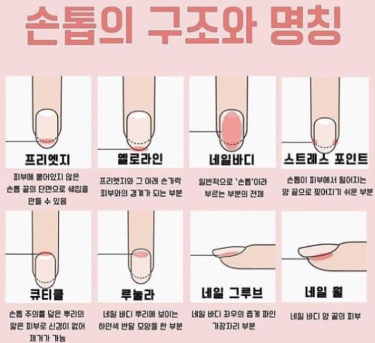 다듬네일 이미지