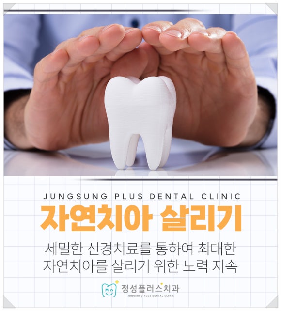 정성플러스치과 이미지