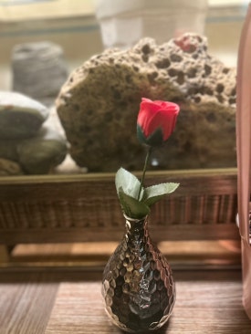 웰빙케어 이미지