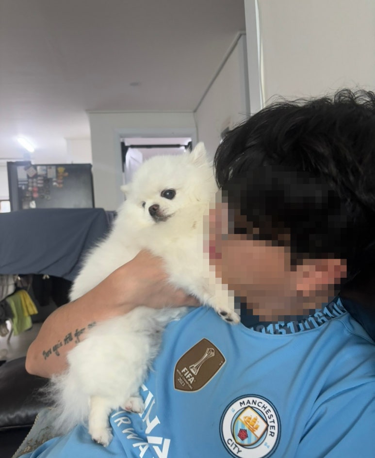 청년피자산본 이미지