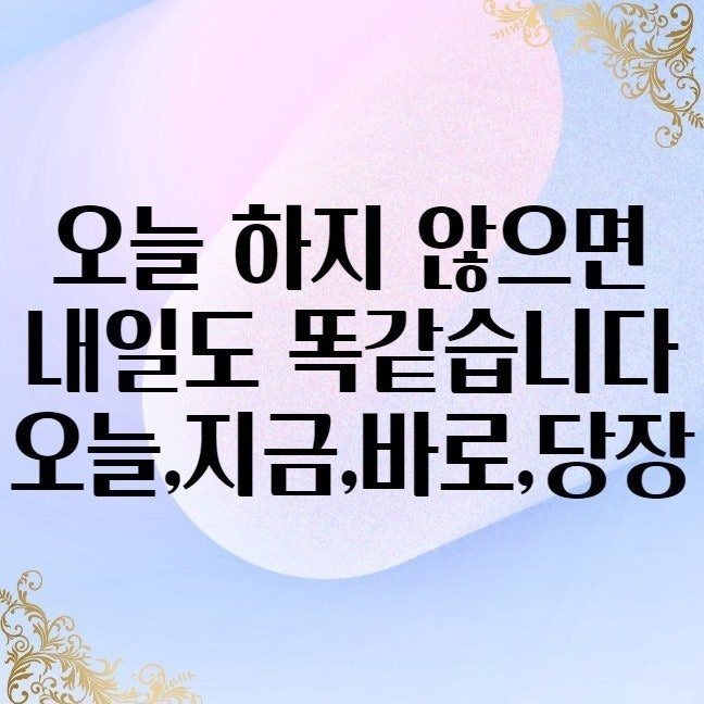 에스엔안 이미지