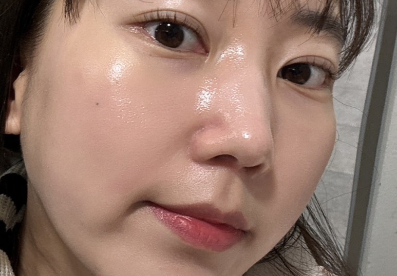 힌즈 이미지