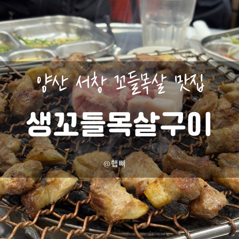 생꼬들목살 이미지