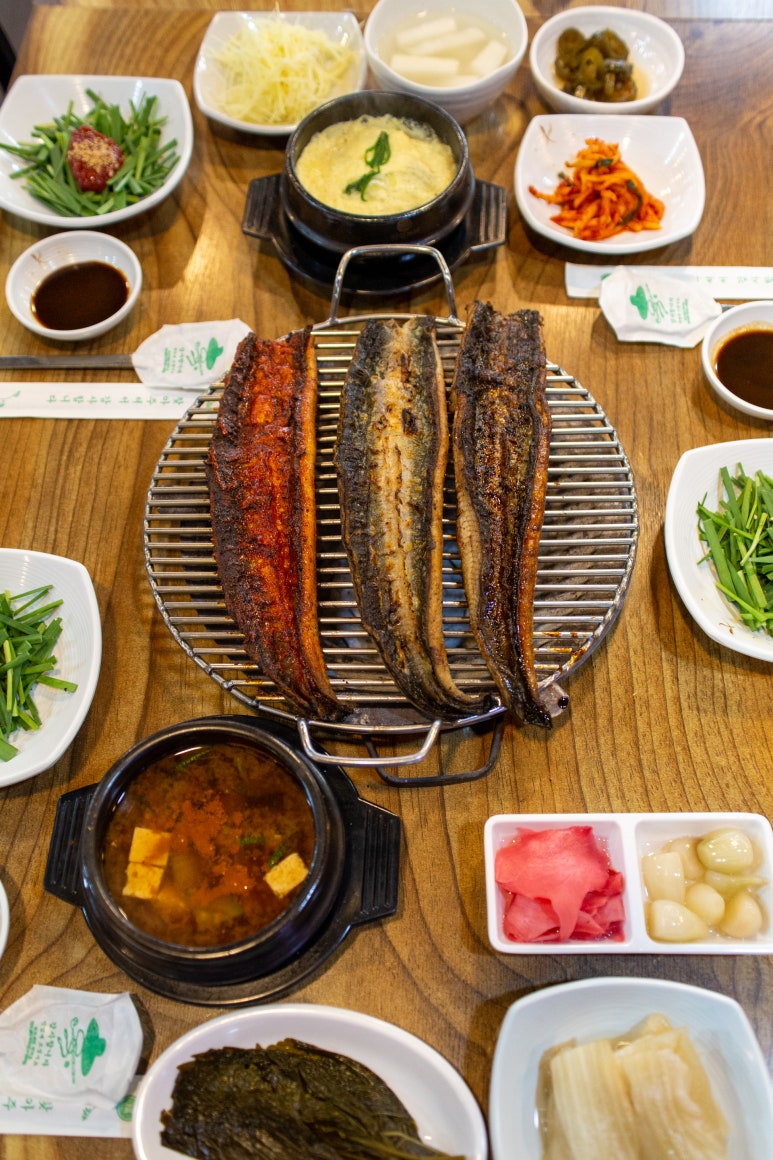 우람장어 이미지