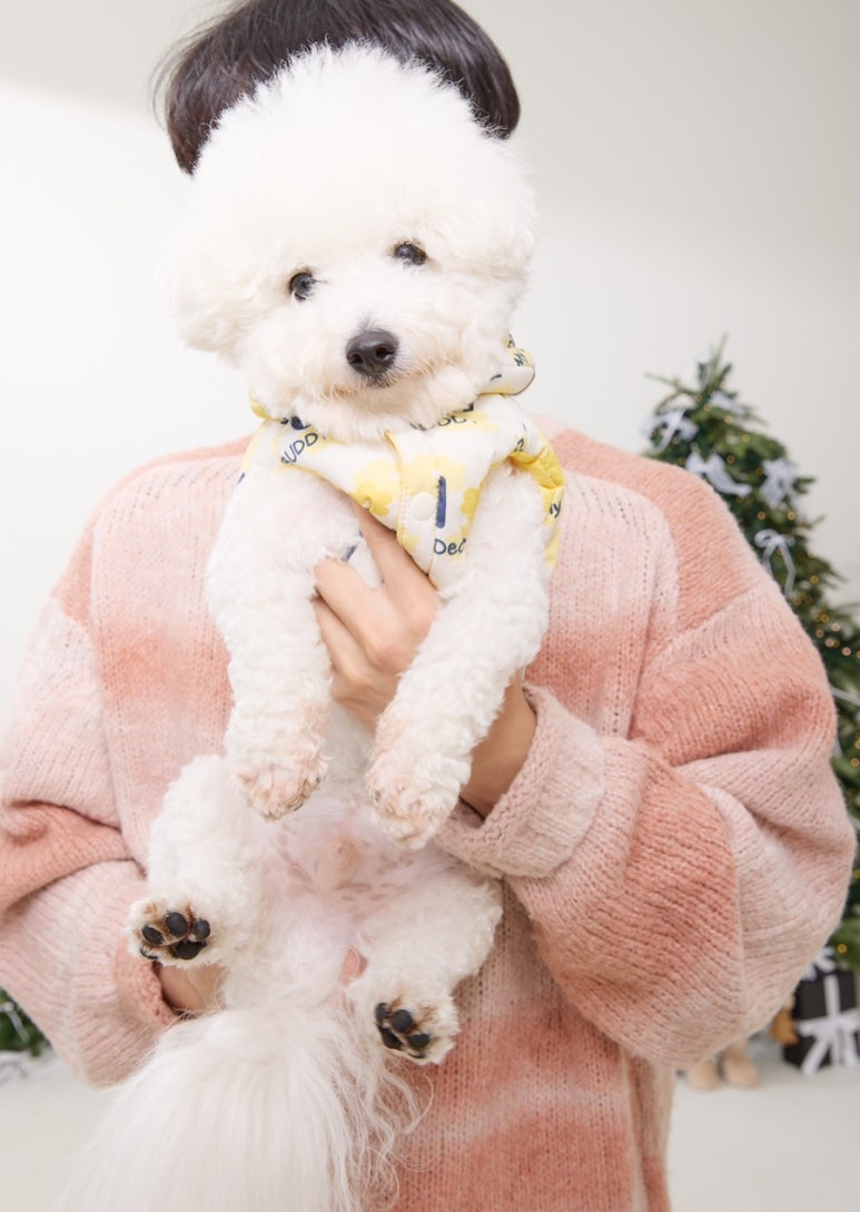 수풀스튜디오 이미지