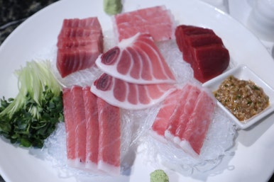한참치 이미지