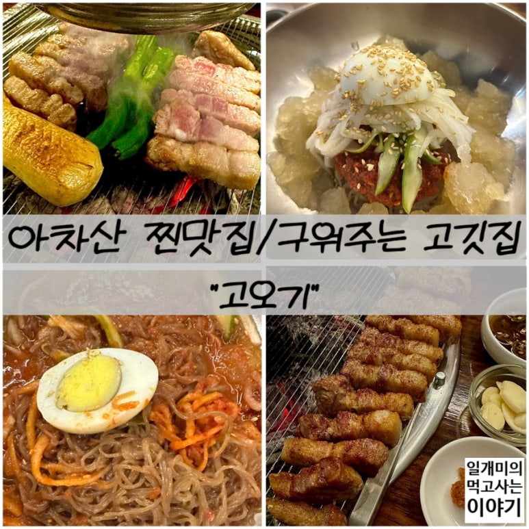 고오기 이미지