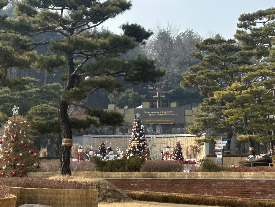 육삼시대 이미지