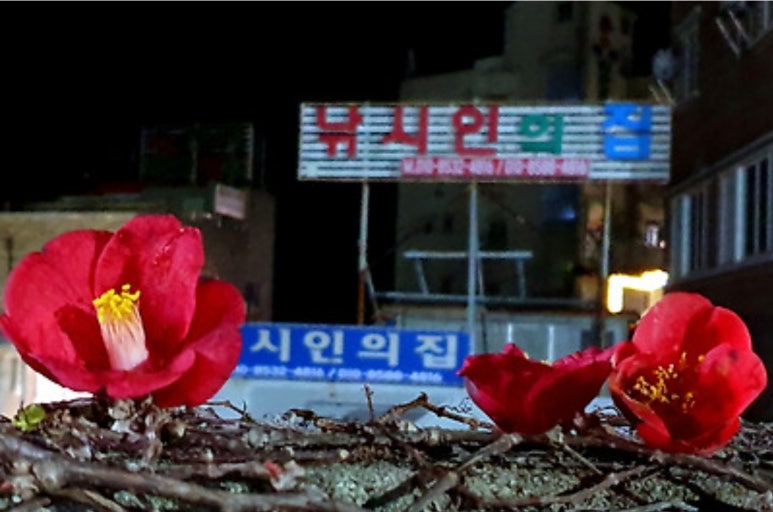 시인의집 이미지