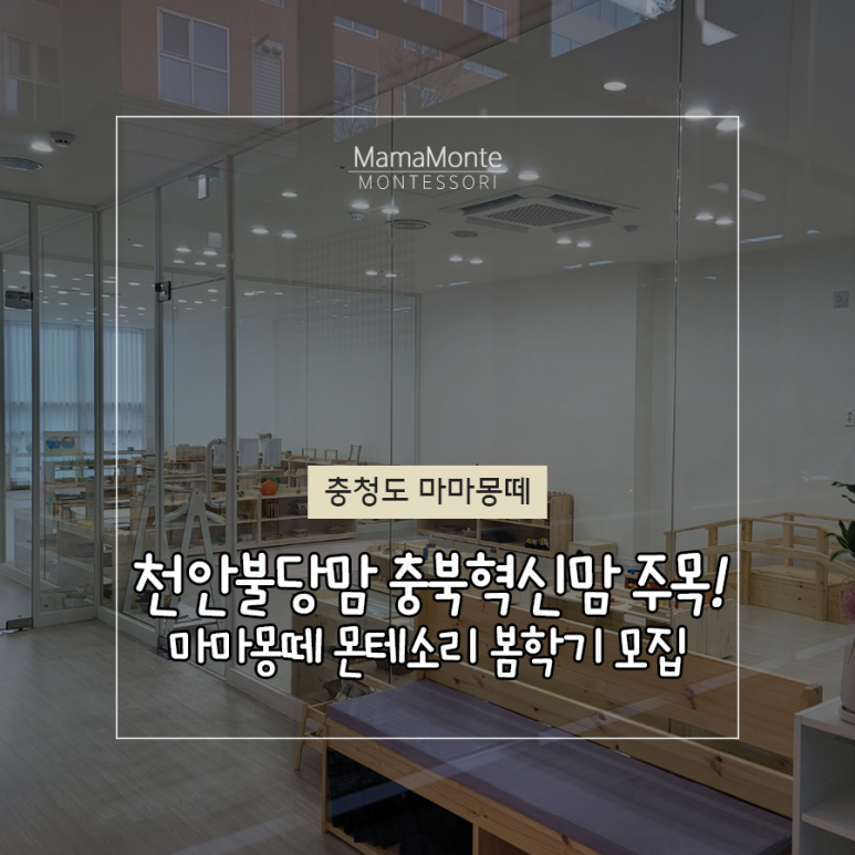 마마몽떼몬테소리센터충북혁신 이미지