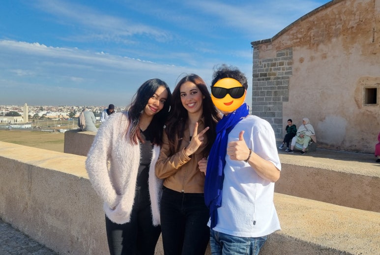 알카미스 이미지