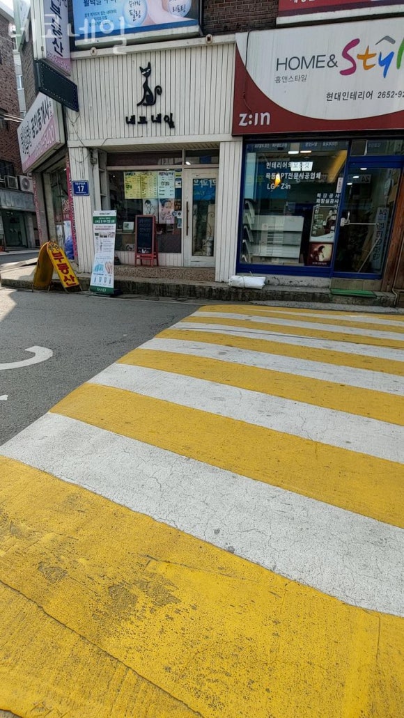 네코네일 이미지