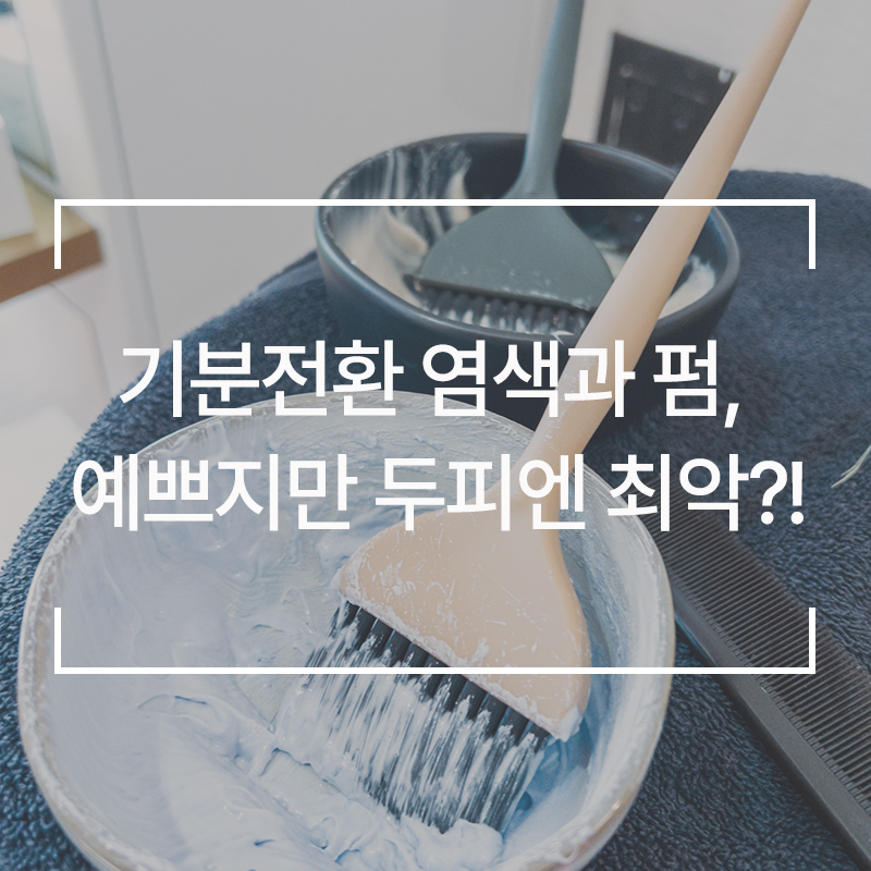 웰킨 이미지