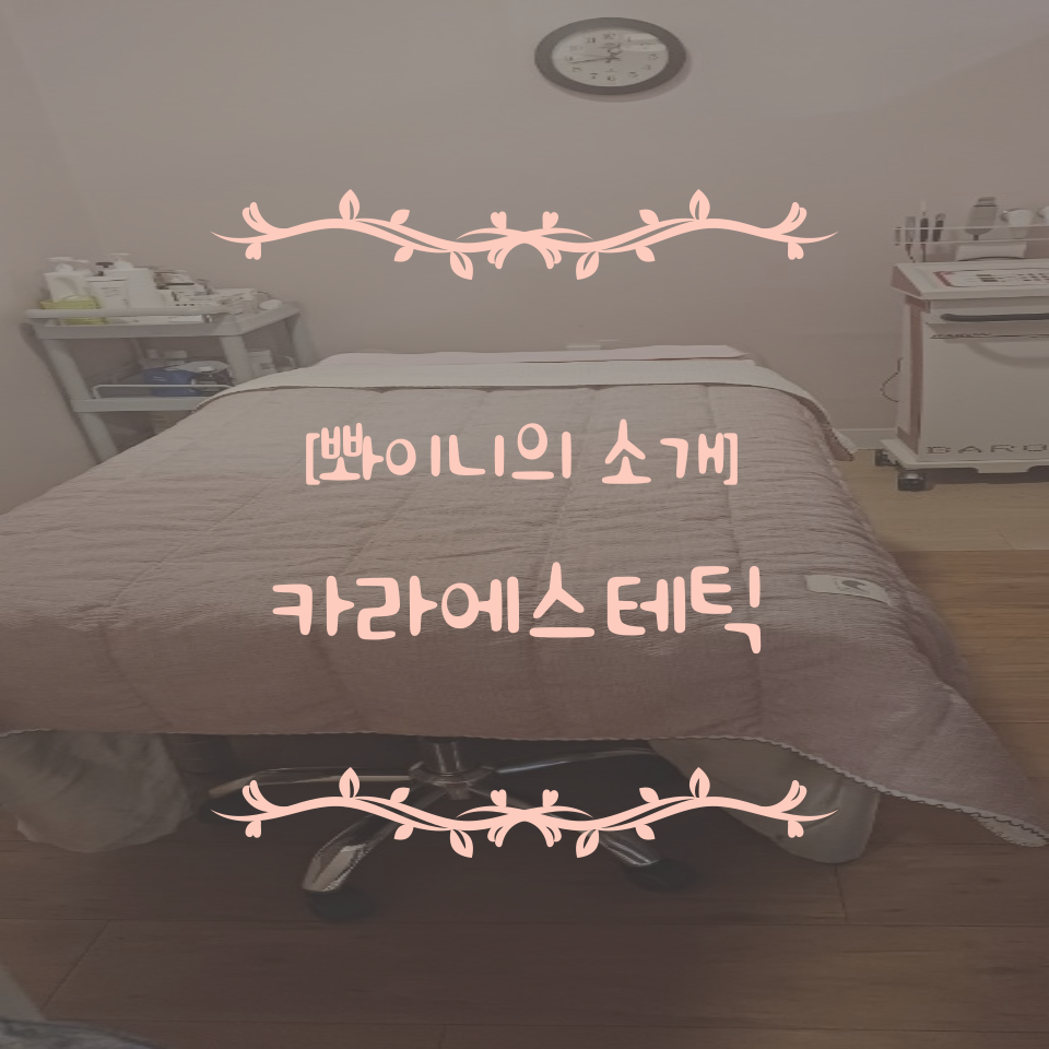 카라에스테틱 이미지