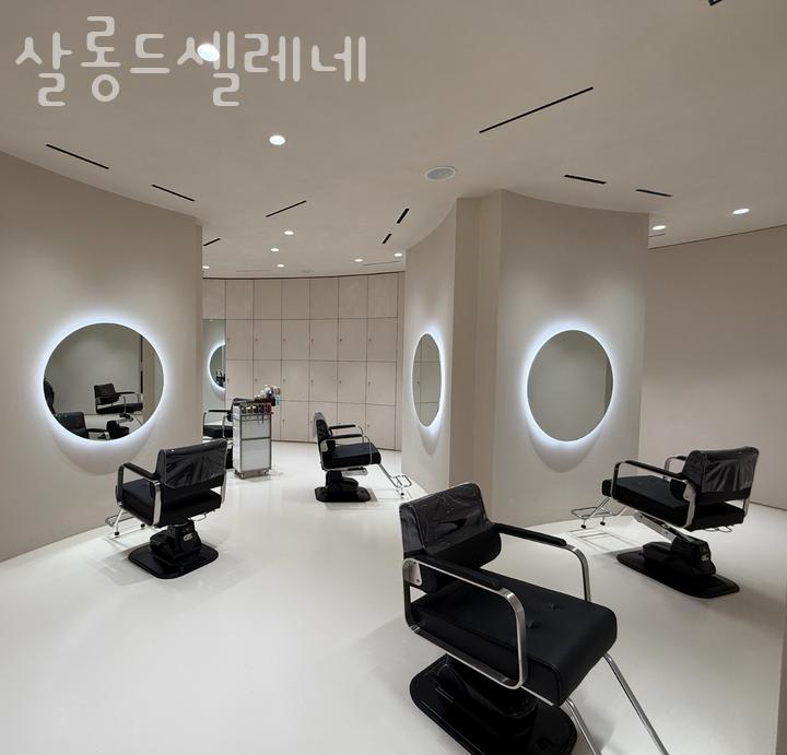 셀레네 이미지