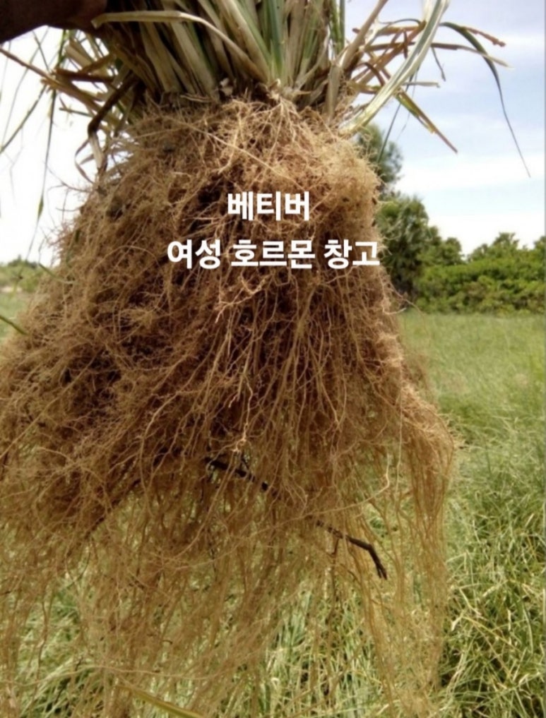 마나스힐링센터 이미지