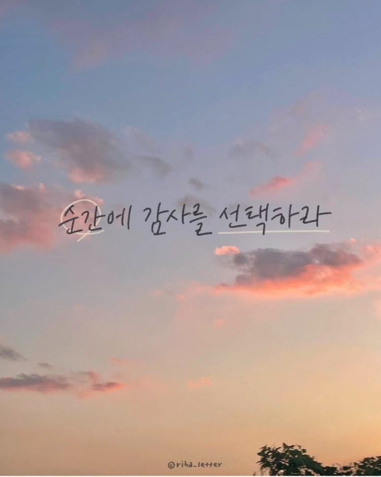 포토존 이미지