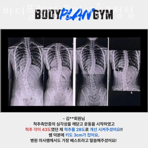 바디플랜 이미지