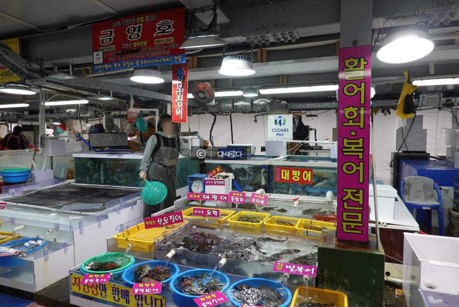 금영수산 이미지