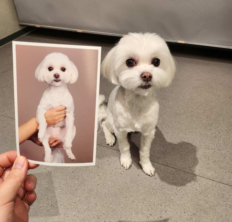 에이프레임스튜디오 이미지