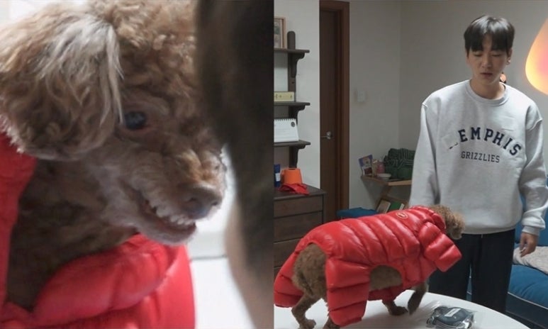 대호하우스 이미지