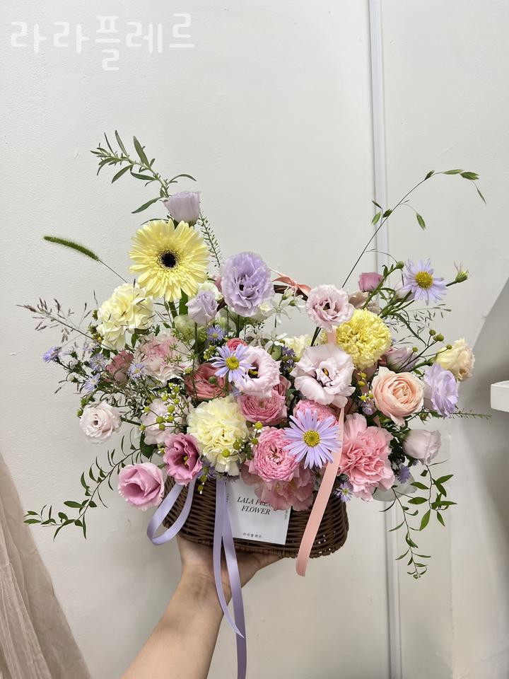 라라플레르 이미지
