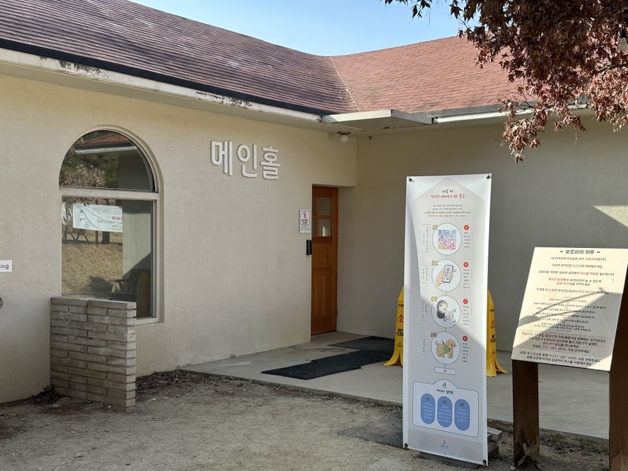 용인 애견카페 프라이빗 룸 대관 및 운동장 이용 후기 — 사진 3