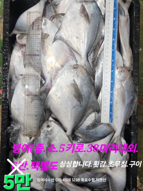 임여사수산 이미지