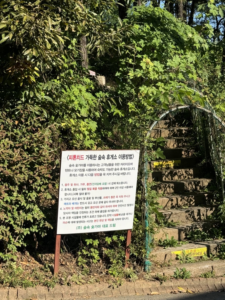 숲속 이미지