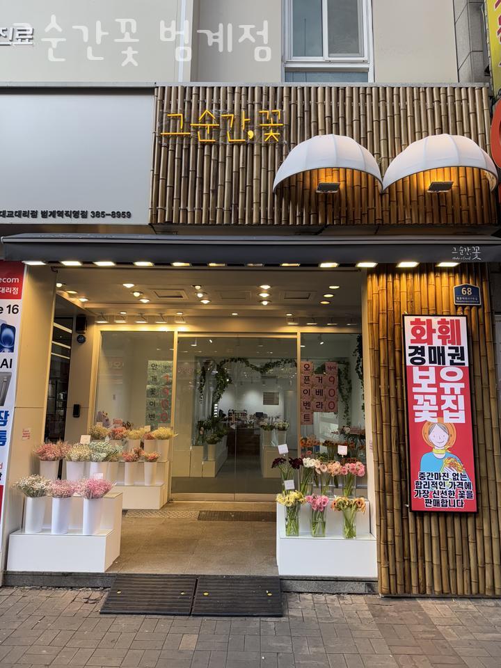 그순간꽃 이미지