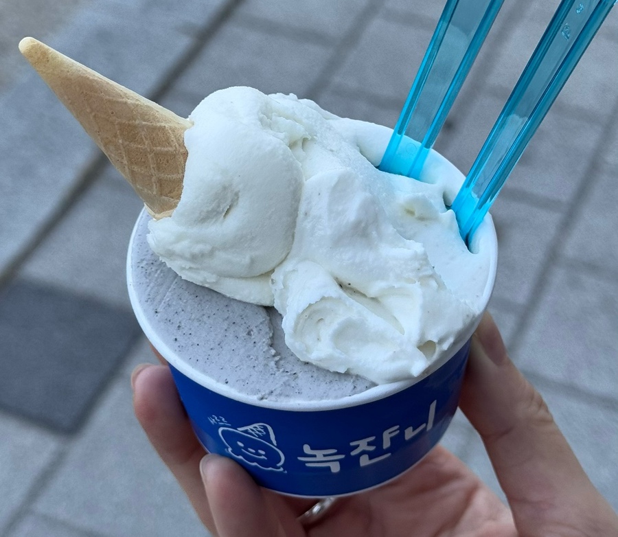 녹쟌니 이미지