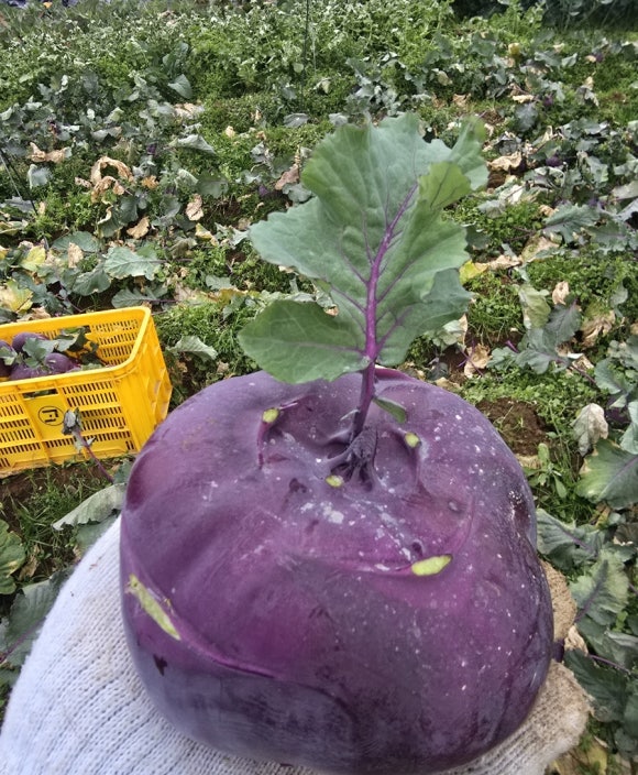 이층식당 이미지