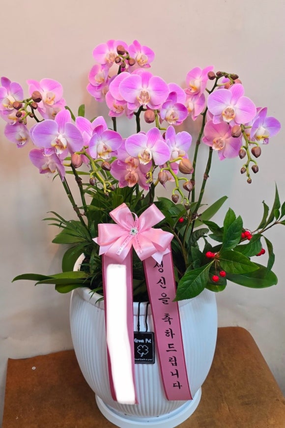 대지화원꽃 이미지