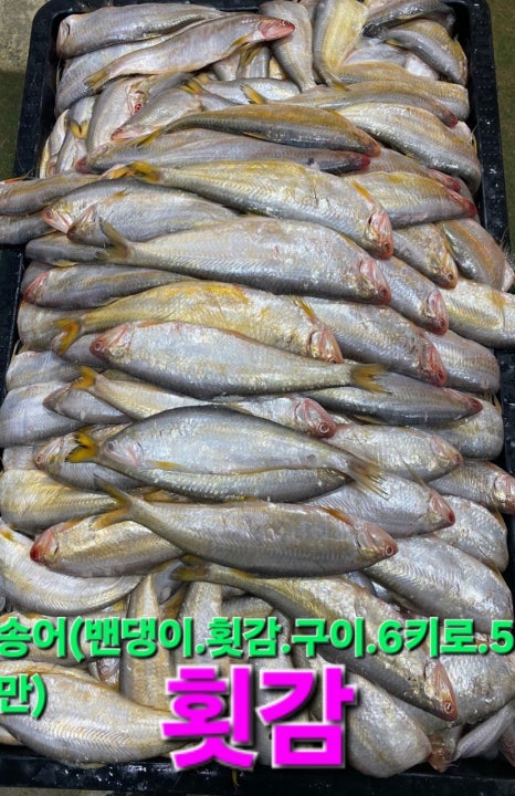 임여사수산 이미지