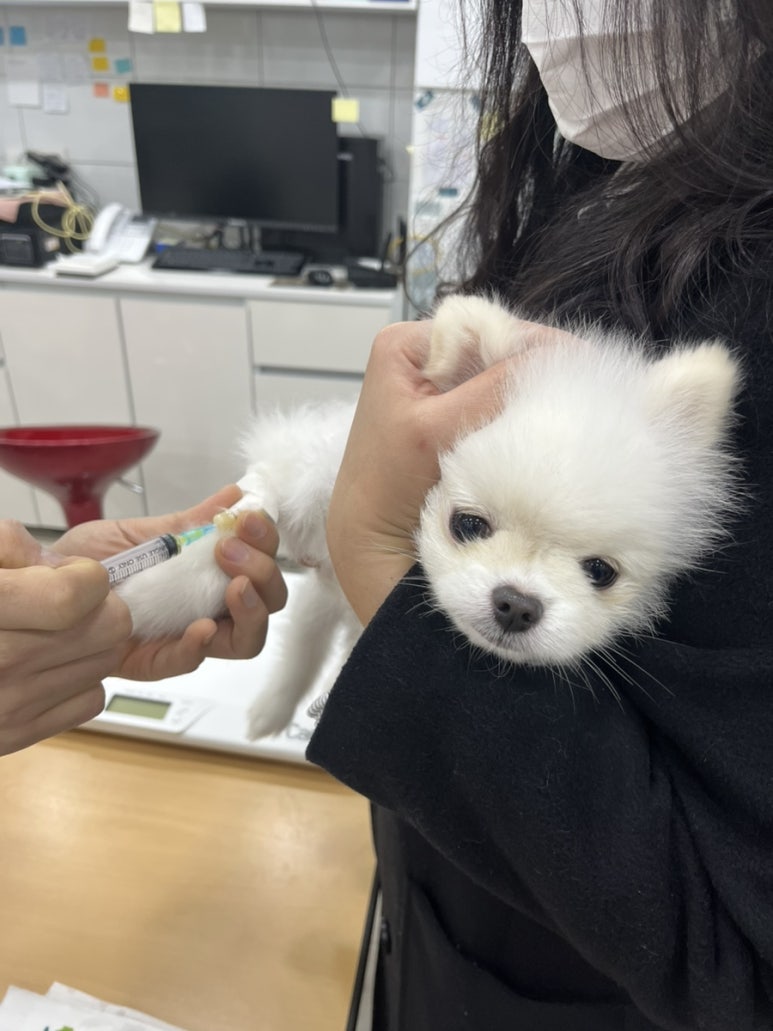 브레드백(용봉직영점) 이미지