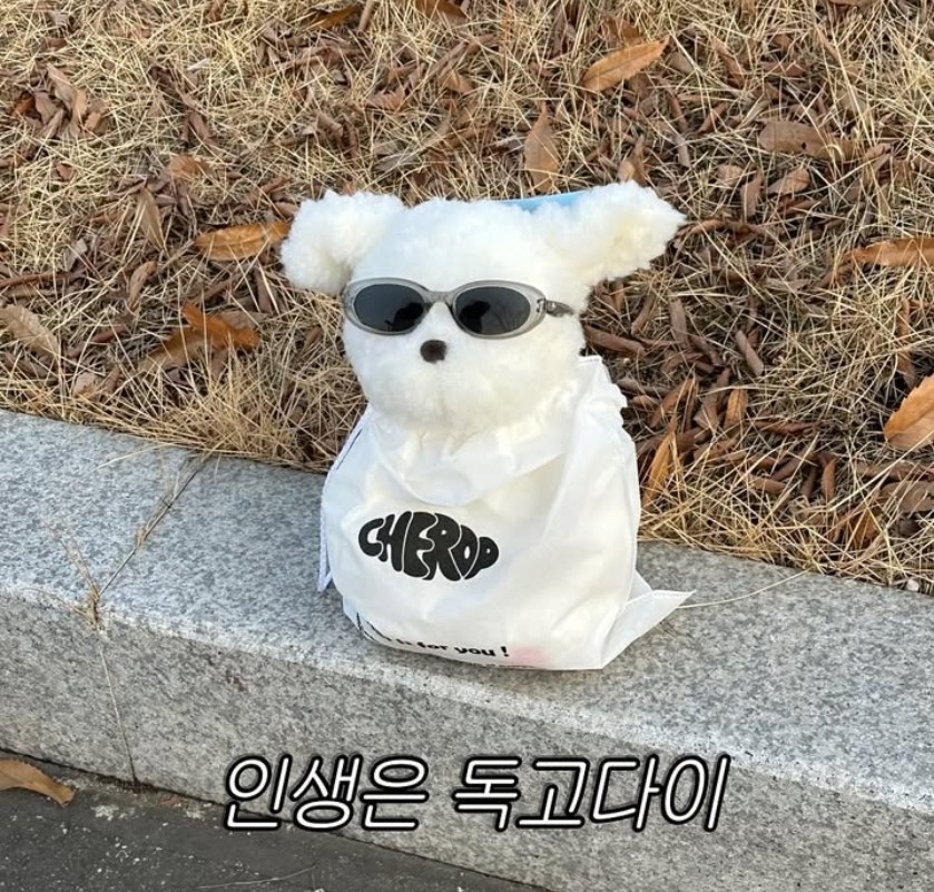 성공인생컨설팅센터 이미지